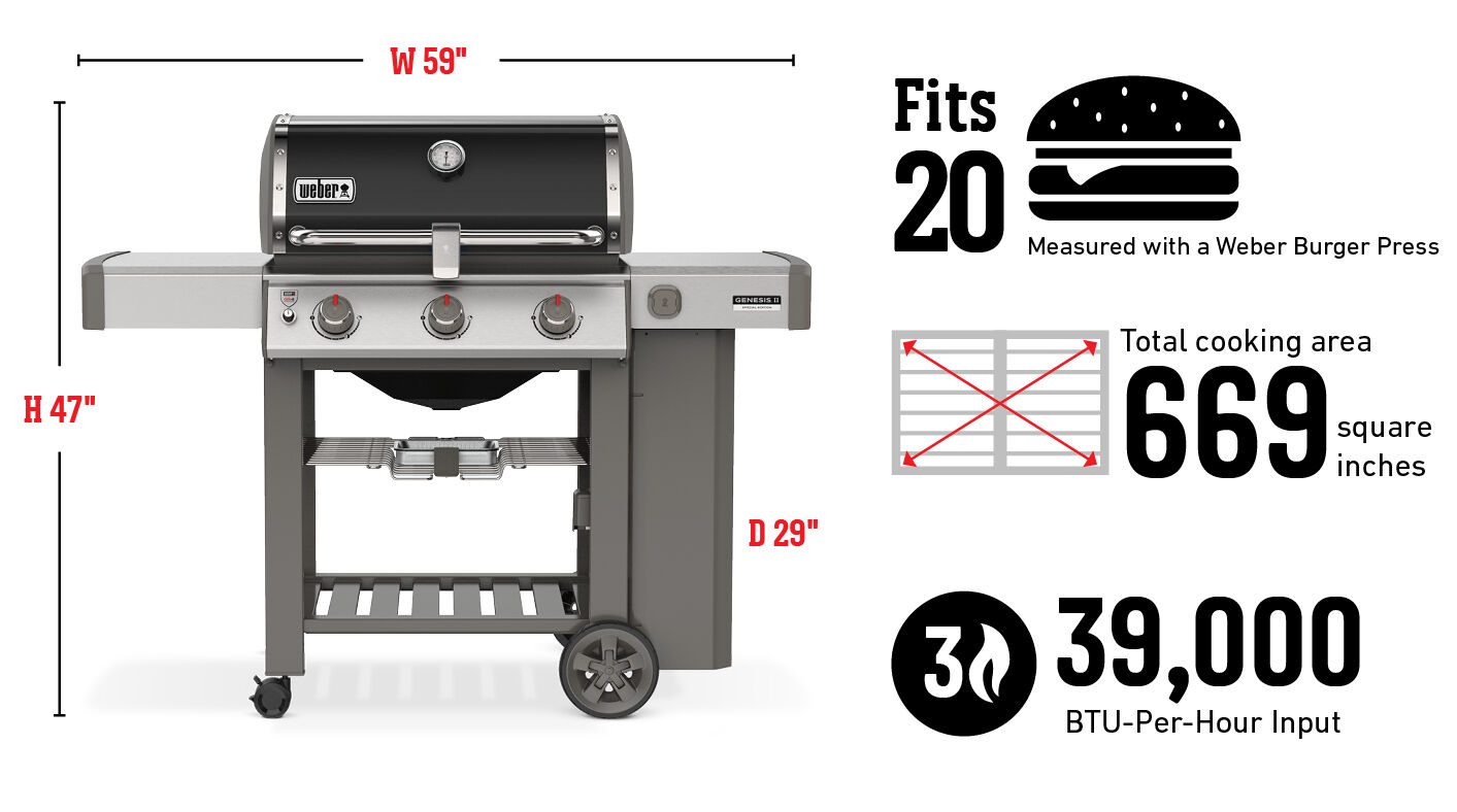 Weber se sales 310